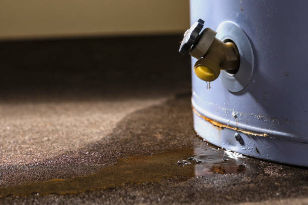 Best Flood damage cleanup  in Pine Lake Park, NJ