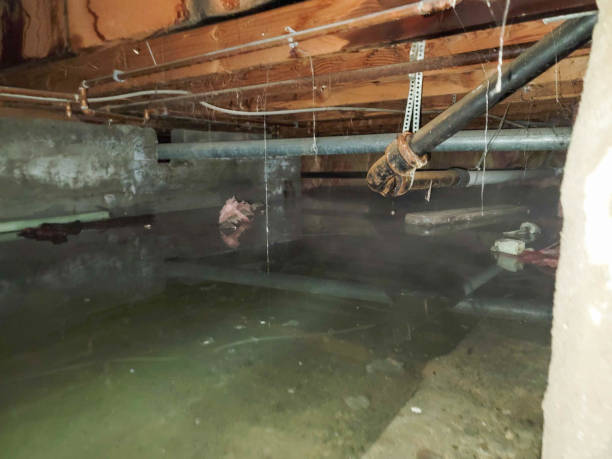 Best Ceiling water damage repair  in Pine Lake Park, NJ