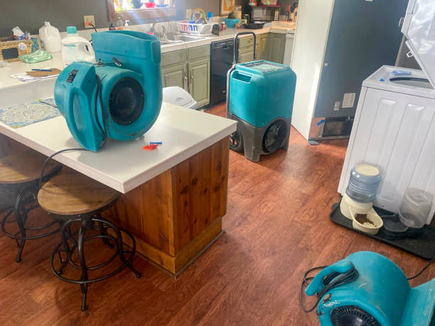 Best Basement water damage restoration  in Pine Lake Park, NJ