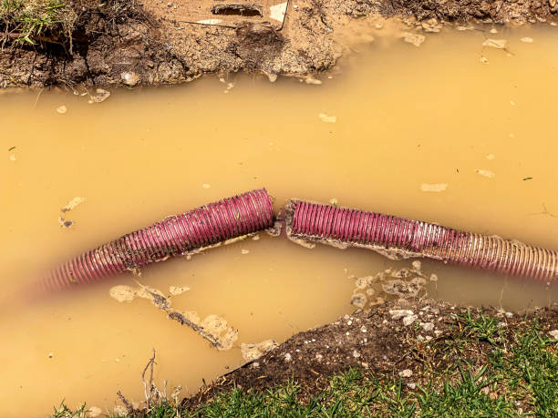 Water damage restoration mold remediation in Pine Lake Park, NJ